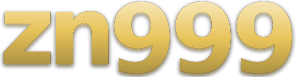 zn999 logo